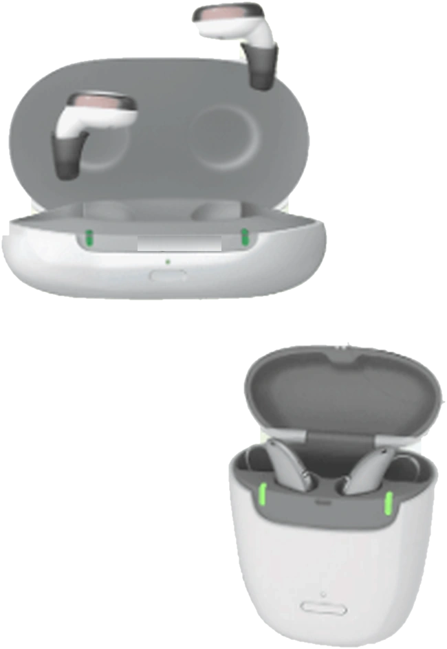 Rechargeable hearing devices in their charging cases