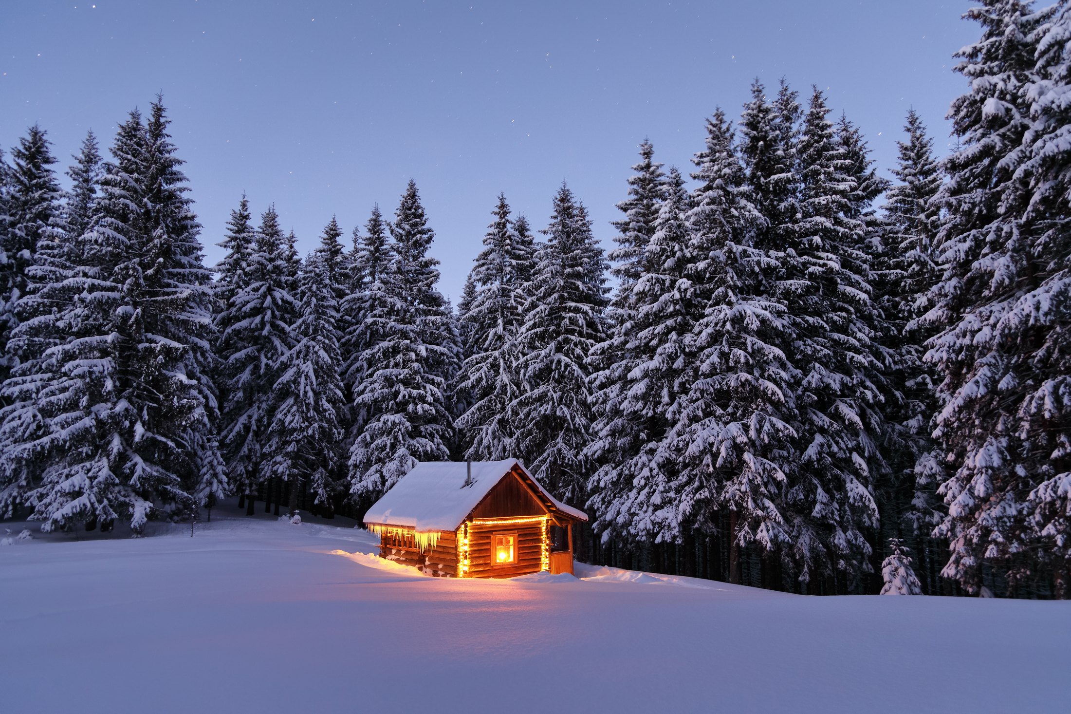 A lit log cabin in a snowy forest at night